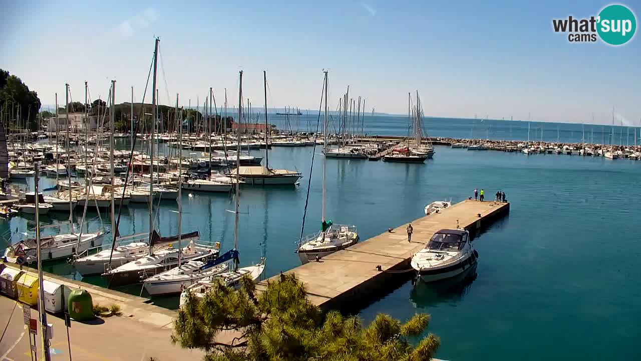 Webcam Sistiana – Vue sur la marina et la baie