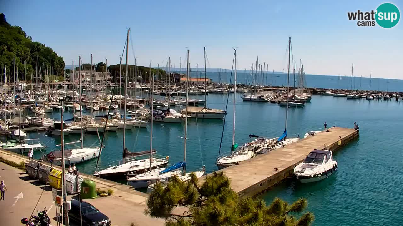 Webcam Sistiana – Vista sobre la marina y la bahía