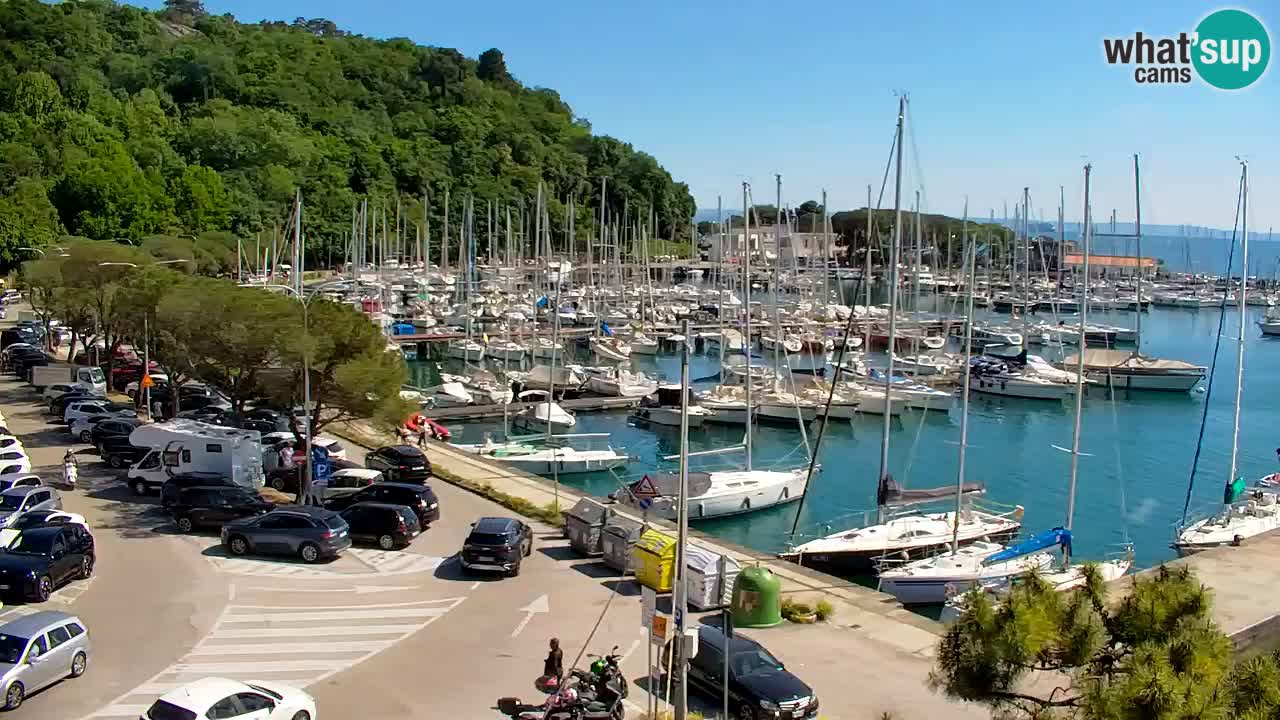 Webcam Sistiana – Marina and Bay Live View