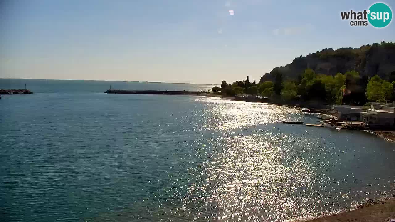 Webcam Sistiana – Blick auf Marina und Bucht