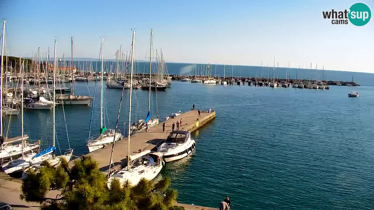 Webcam Sistiana – Vista sulla marina e sulla baia