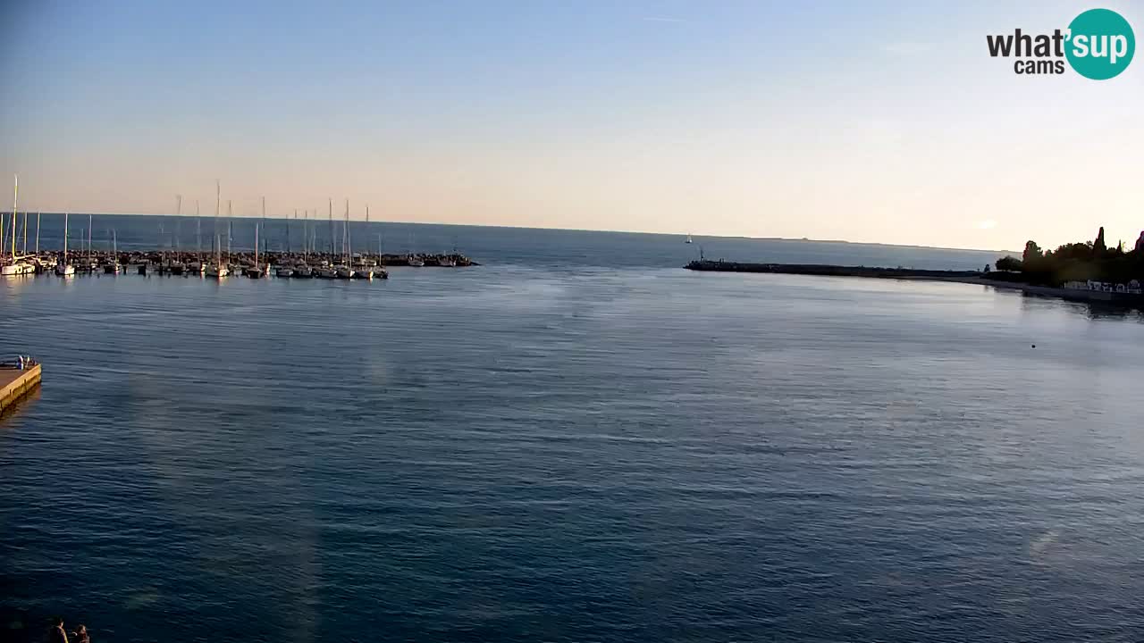 Webcam Sistiana – Blick auf Marina und Bucht