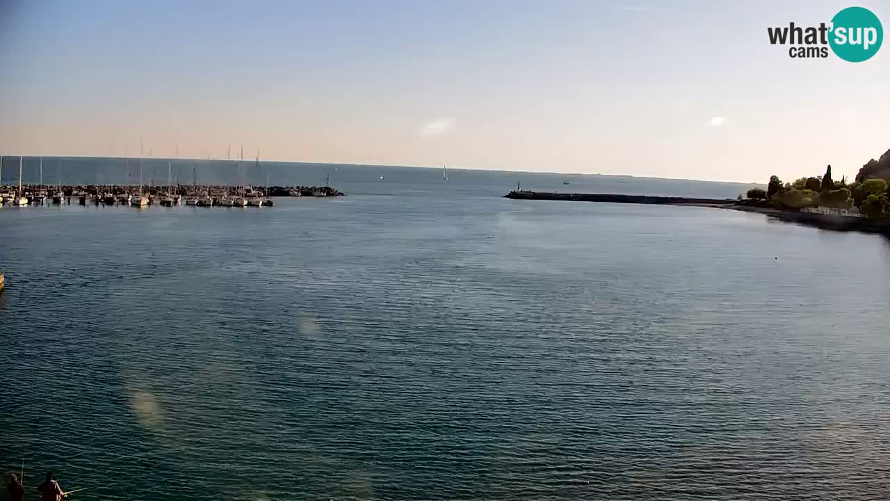 Webcam Sistiana – Vista sobre la marina y la bahía