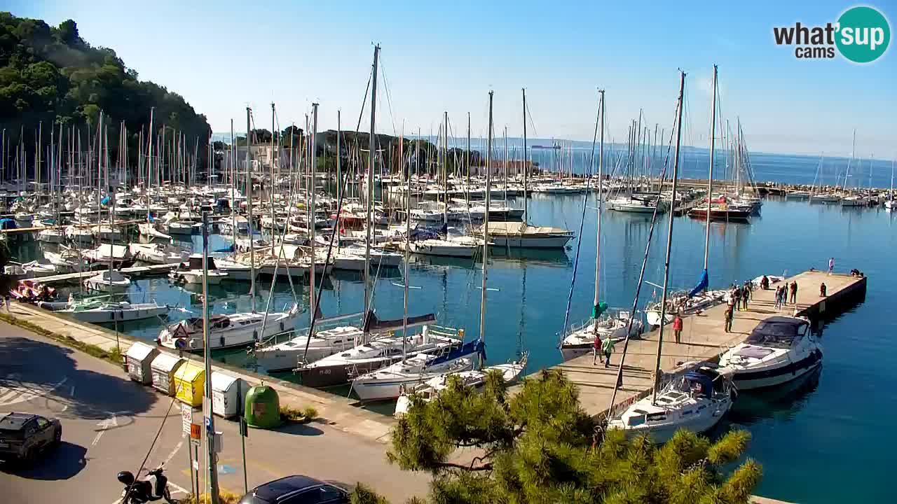 Spletna kamera Sesljan (Sistiana) – Pogled na marino in zaliv