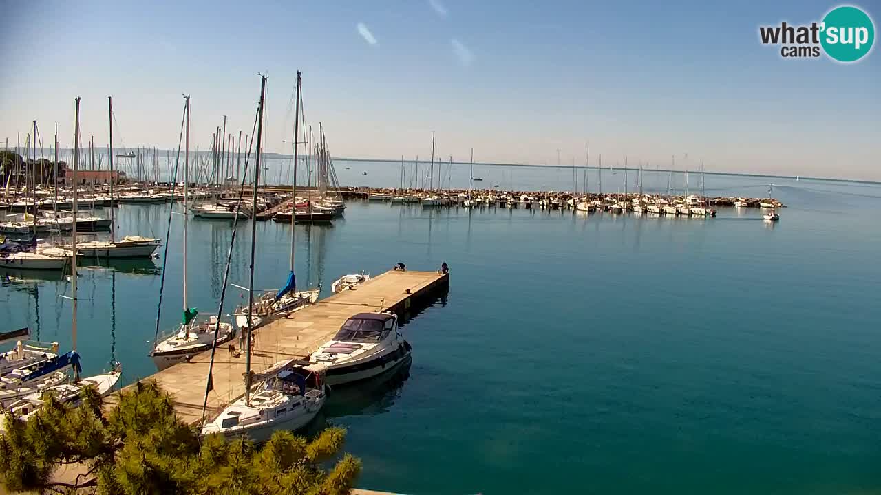Webcam Sistiana – Marina and Bay Live View