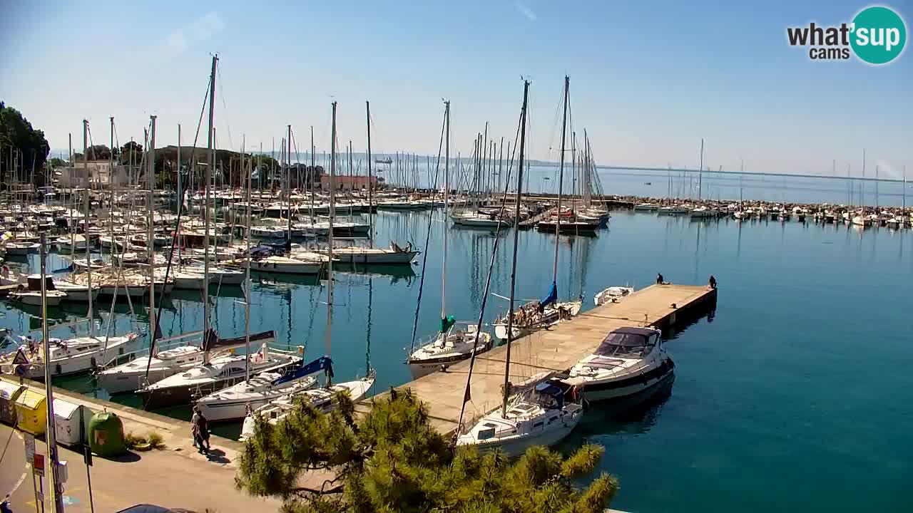 Webcam Sistiana – Pogled na marinu i zaljev