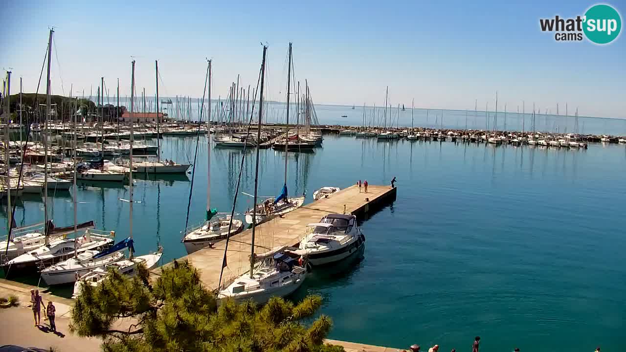 Spletna kamera Sesljan (Sistiana) – Pogled na marino in zaliv