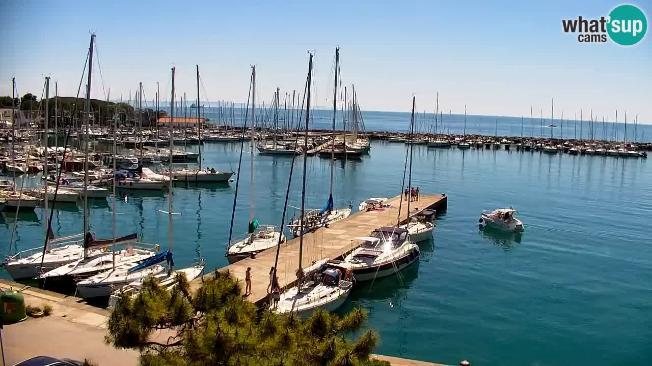 Webcam Sistiana – Marina and Bay Live View
