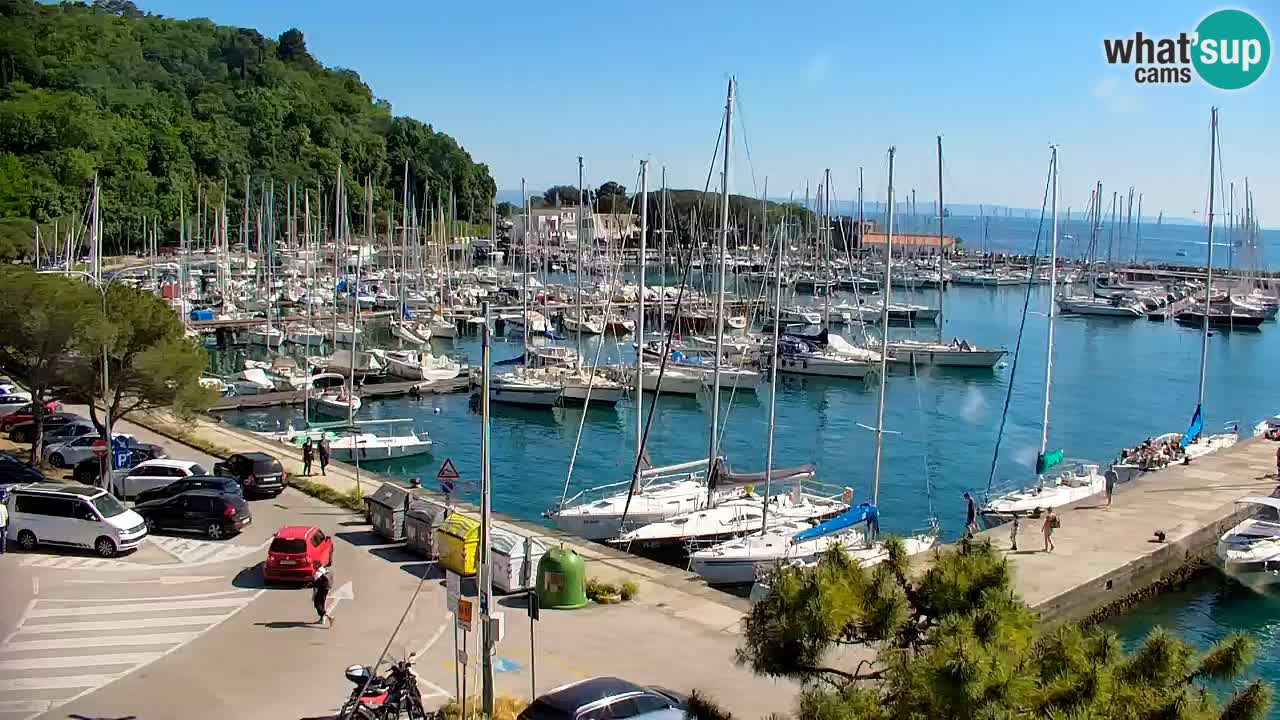 Webcam Sistiana – Pogled na marinu i zaljev