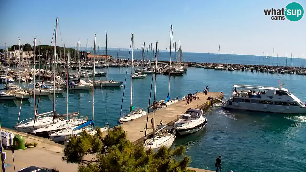 Spletna kamera Sesljan (Sistiana) – Pogled na marino in zaliv