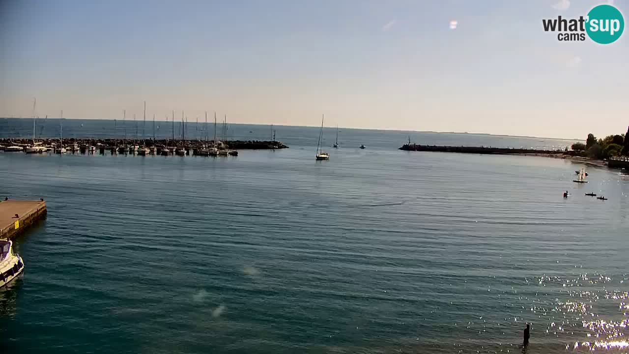 Webcam Sistiana – Marina and Bay Live View