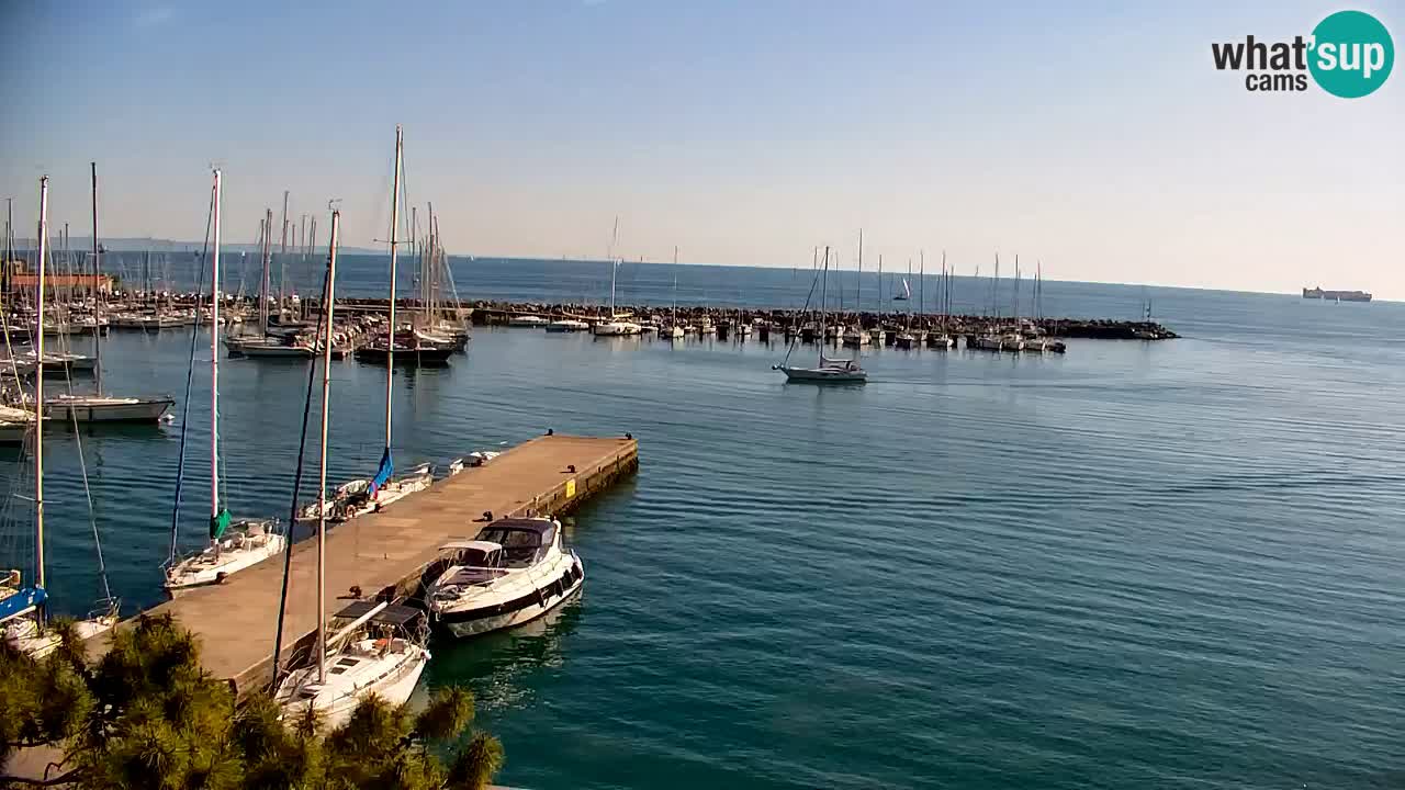 Webcam Sistiana – Marina and Bay Live View