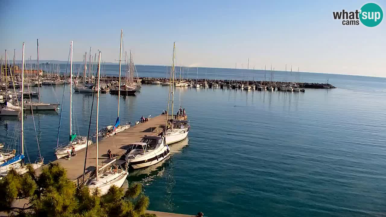 Webcam Sistiana – Marina and Bay Live View