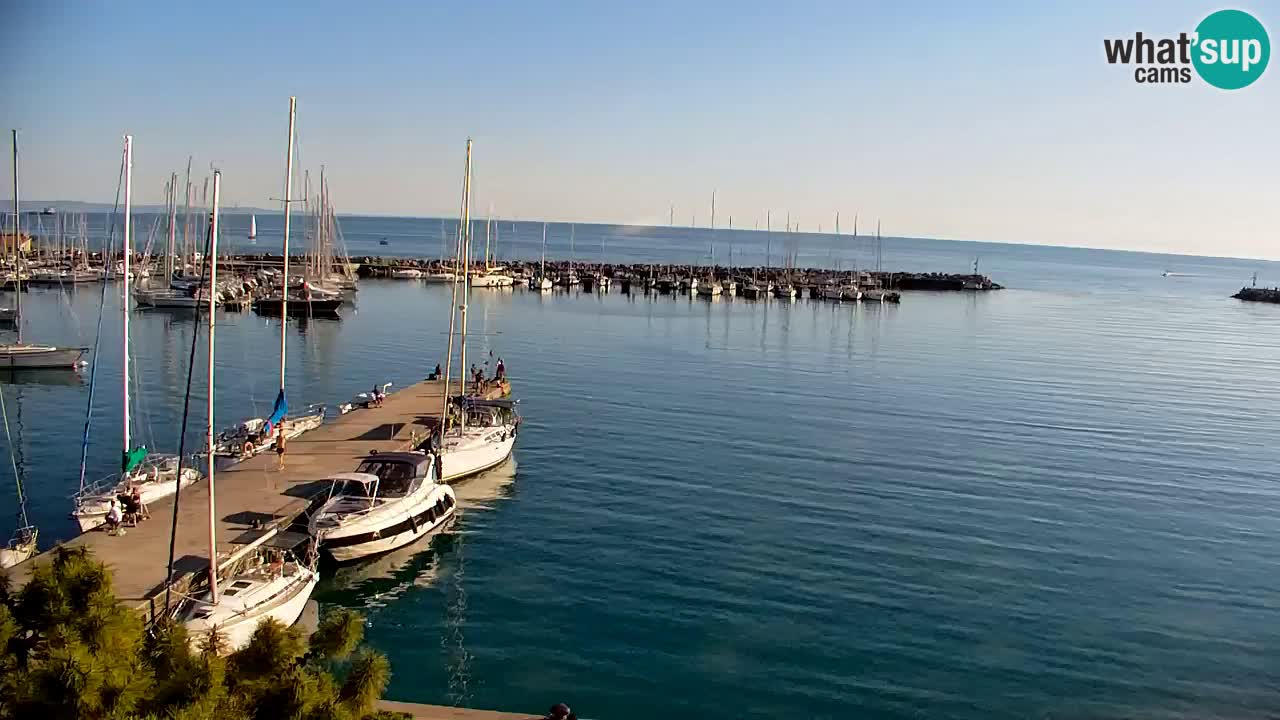 Webcam Sistiana – Marina and Bay Live View