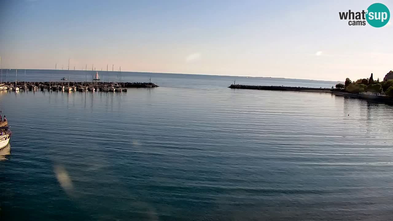 Webcam Sistiana – Pogled na marinu i zaljev