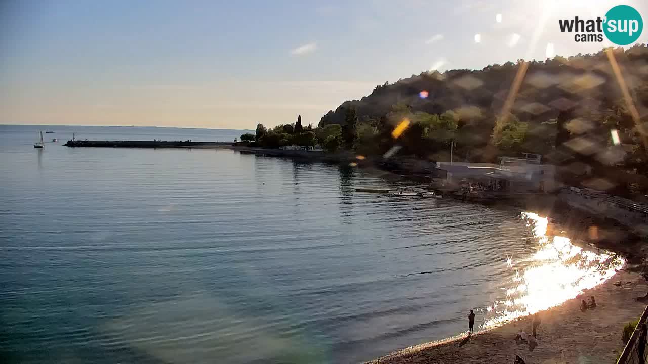 Webcam Sistiana – Vista sulla marina e sulla baia