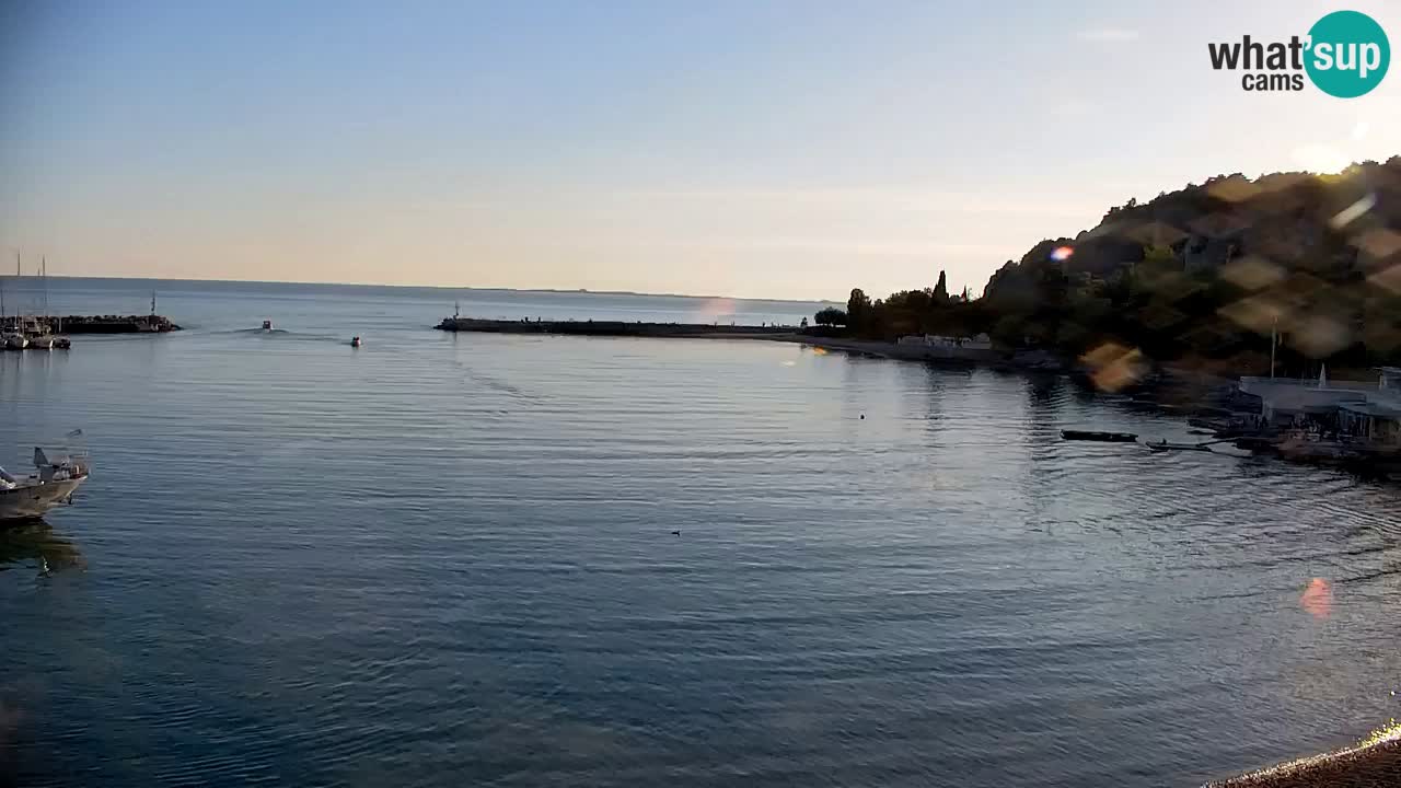Webcam Sistiana – Marina and Bay Live View
