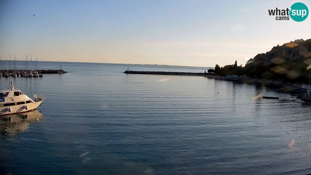 Webcam Sistiana – Vista sulla marina e sulla baia
