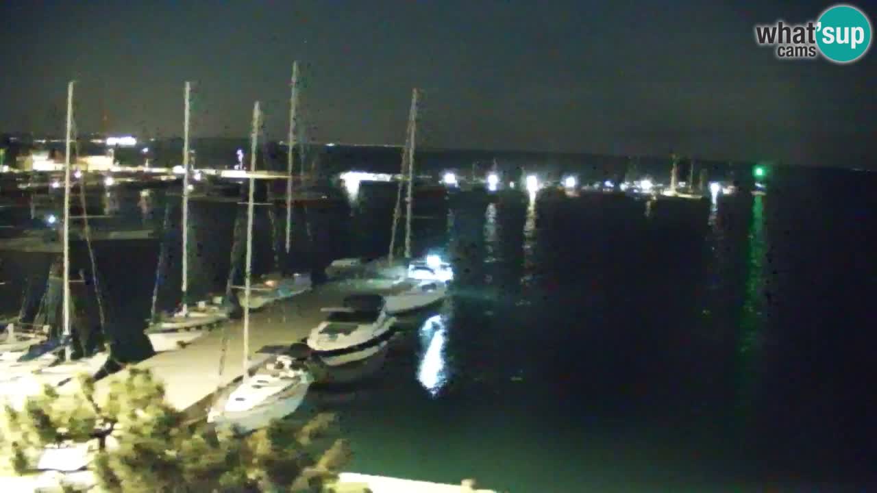 Webcam Sistiana – Pogled na marinu i zaljev