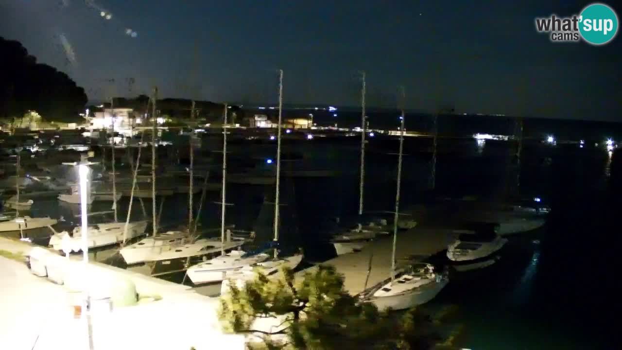 Webcam Sistiana – Pogled na marinu i zaljev