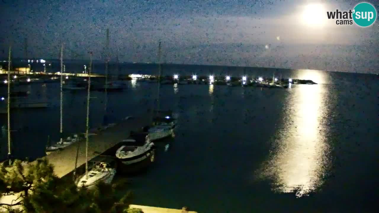 Webcam Sistiana – Marina and Bay Live View
