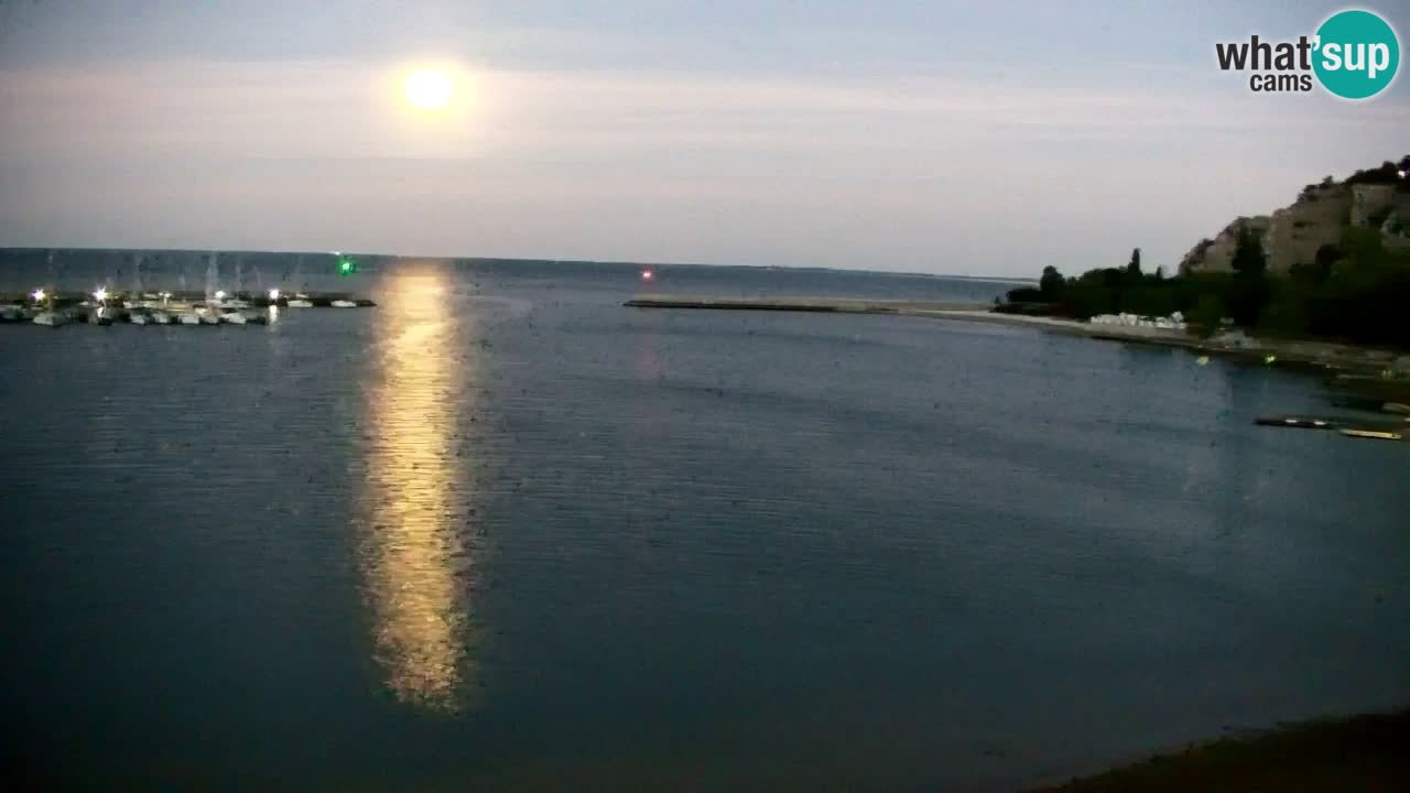 Webcam Sistiana – Marina and Bay Live View