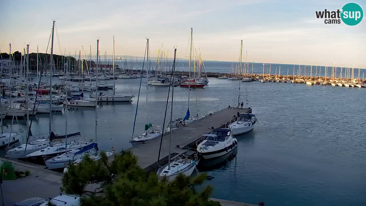 Webcam Sistiana – Marina and Bay Live View