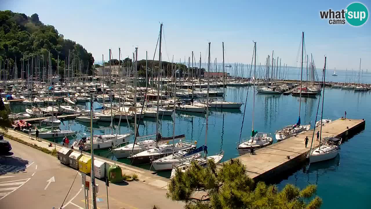 Spletna kamera Sesljan (Sistiana) – Pogled na marino in zaliv