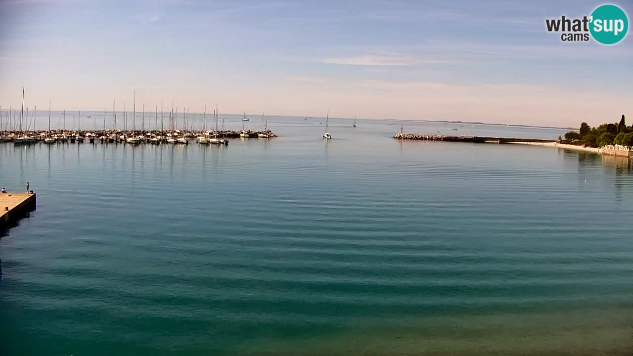 Webcam Sistiana – Marina and Bay Live View