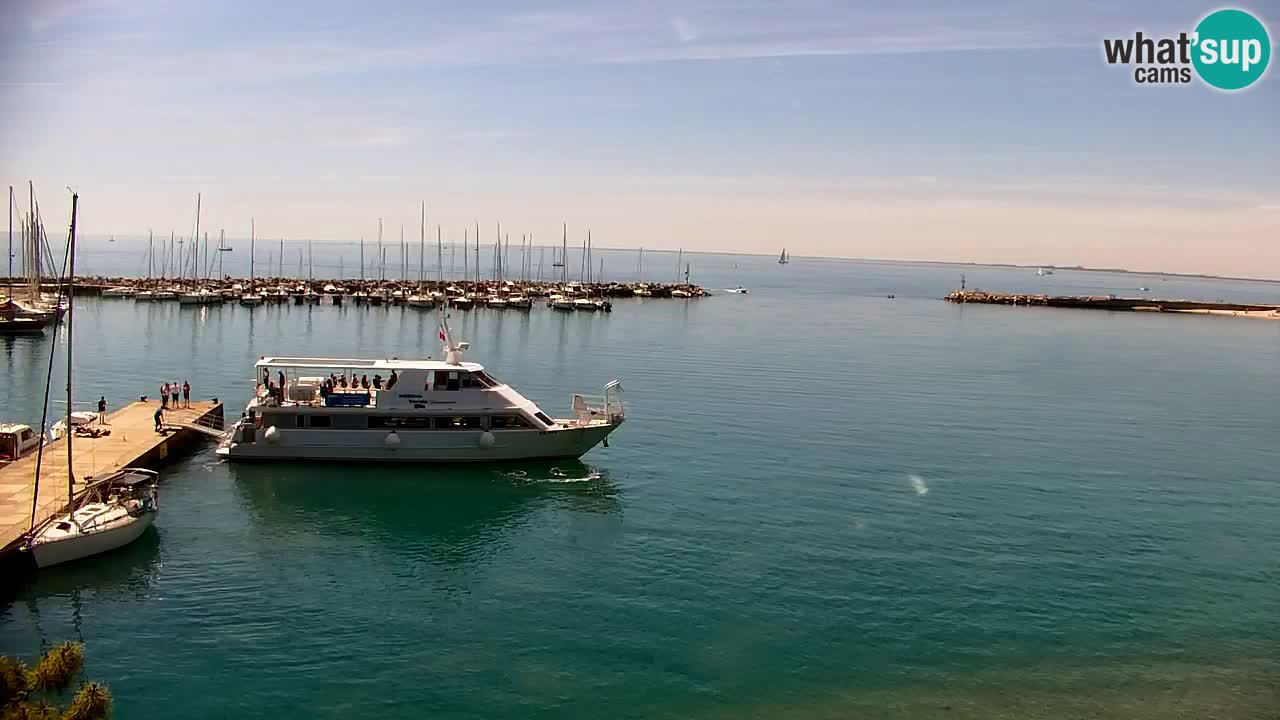 Spletna kamera Sesljan (Sistiana) – Pogled na marino in zaliv