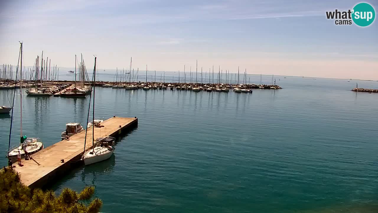 Webcam Sistiana – Pogled na marinu i zaljev