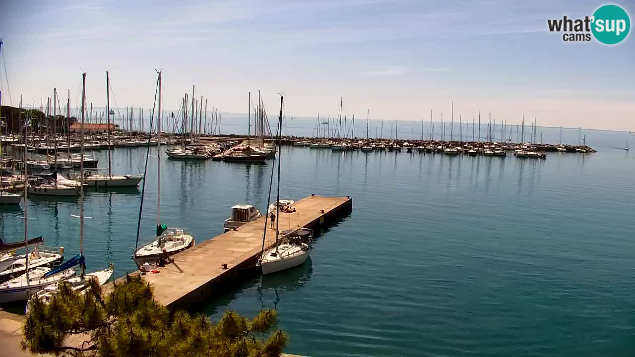 Webcam Sistiana – Marina and Bay Live View
