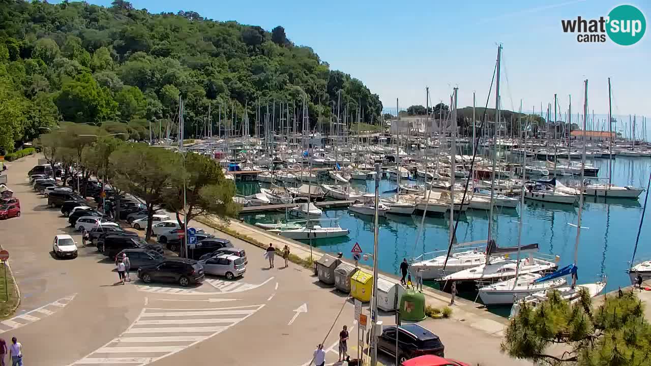 Webcam Sistiana – Marina and Bay Live View