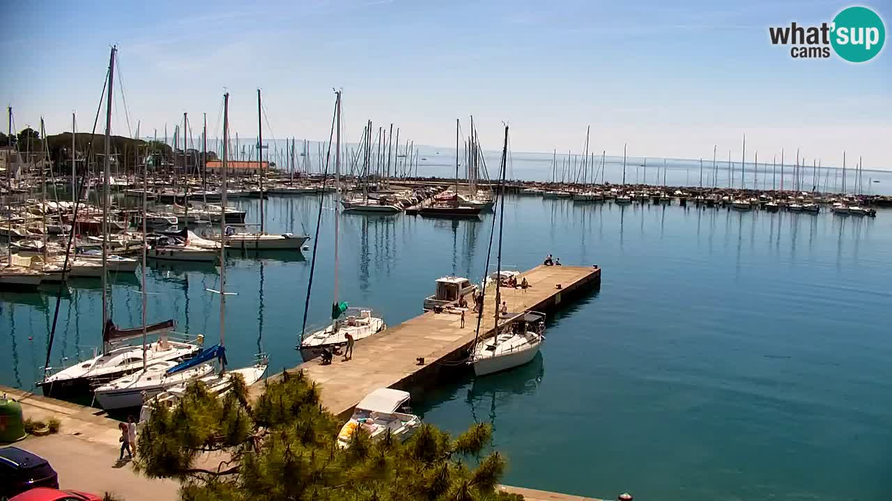 Webcam Sistiana – Vista sulla marina e sulla baia