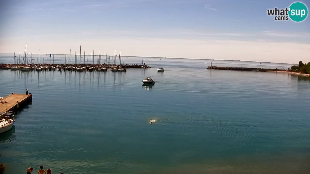 Webcam Sistiana – Pogled na marinu i zaljev