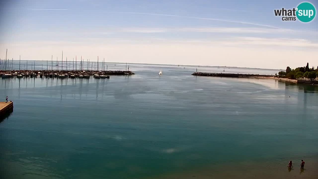 Webcam Sistiana – Marina and Bay Live View