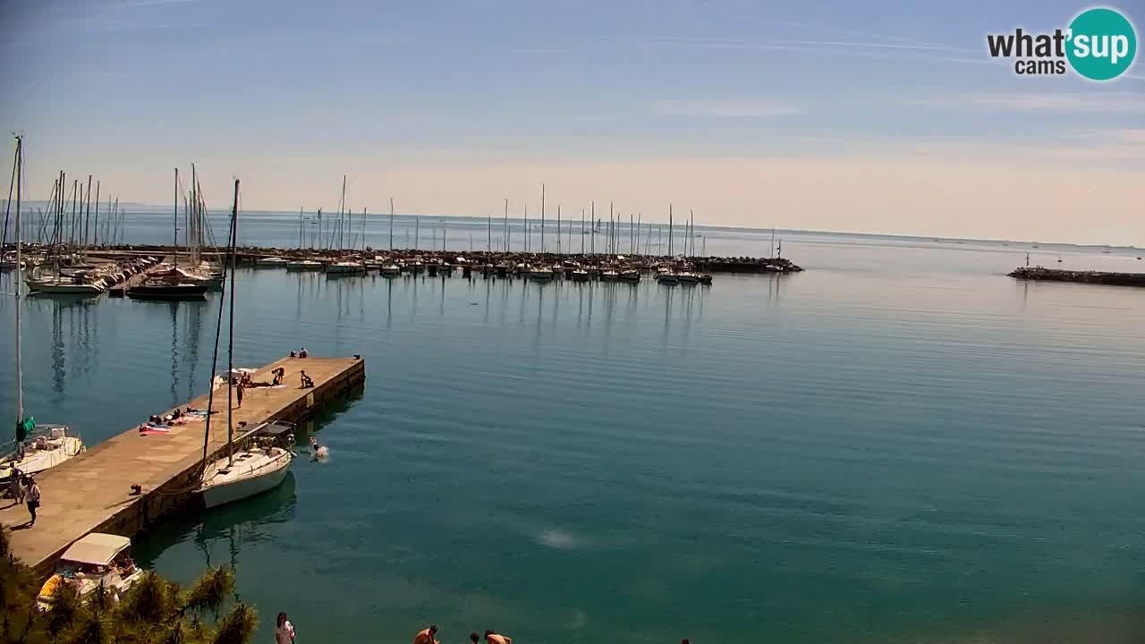 Webcam Sistiana – Vista sobre la marina y la bahía