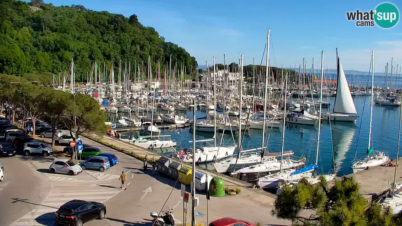 Webcam Sistiana – Pogled na marinu i zaljev