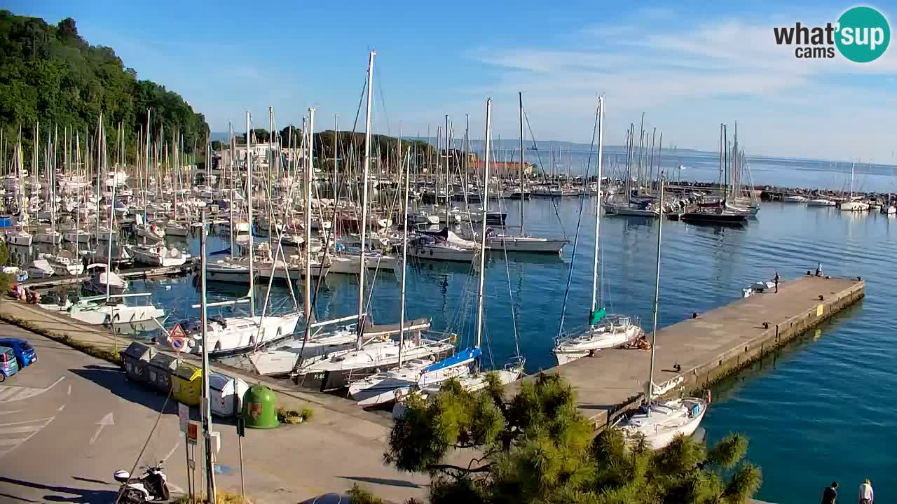 Webcam Sistiana – Marina and Bay Live View