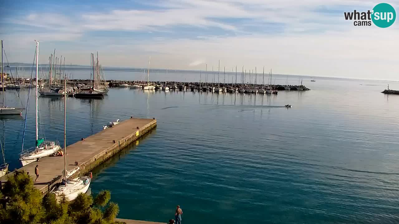 Webcam Sistiana – Marina and Bay Live View