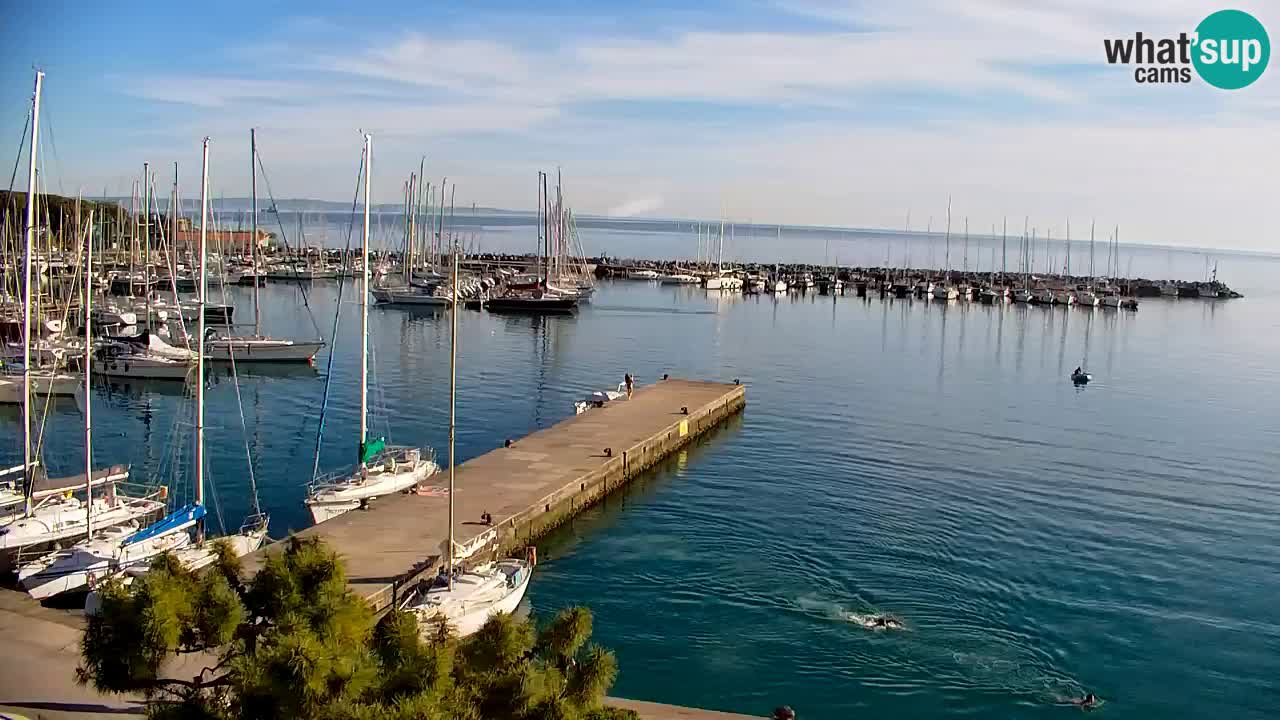 Webcam Sistiana – Marina and Bay Live View