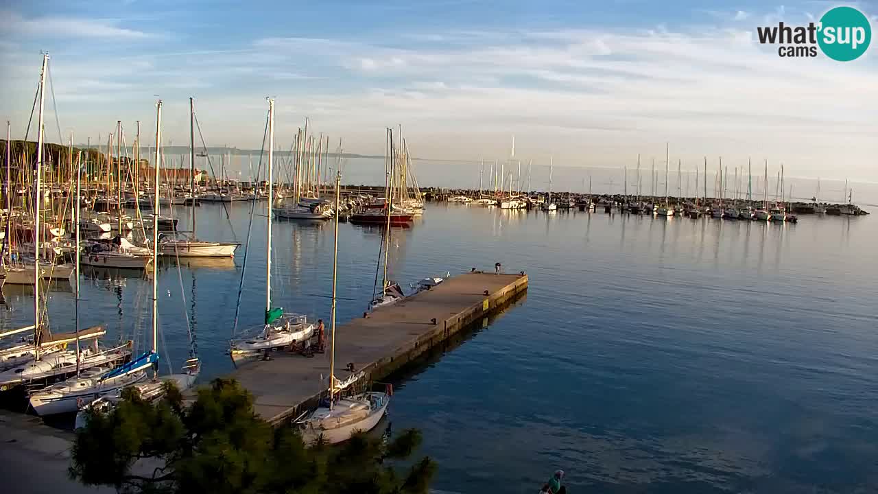Webcam Sistiana – Marina and Bay Live View