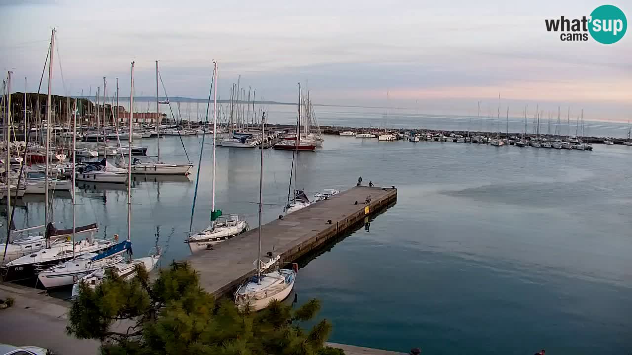 Webcam Sistiana – Marina and Bay Live View