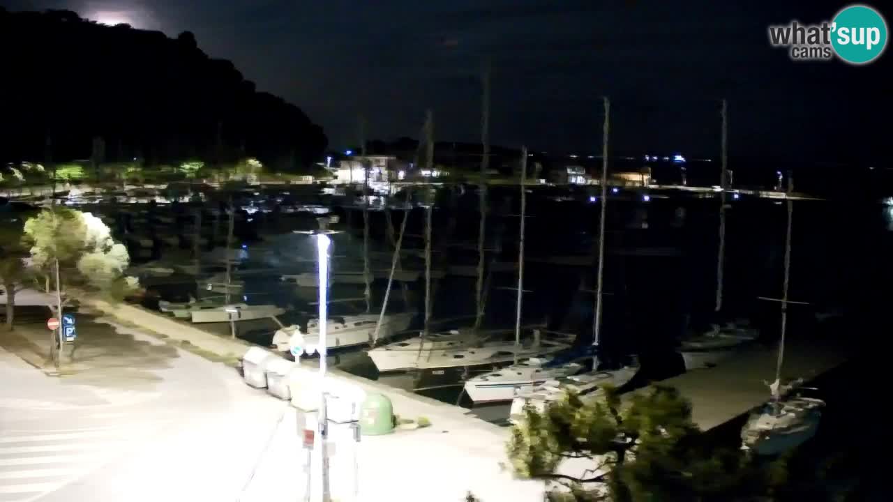 Webcam Sistiana – Marina and Bay Live View
