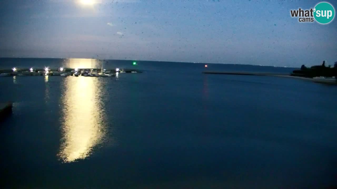 Webcam Sistiana – Pogled na marinu i zaljev