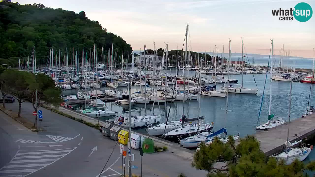 Spletna kamera Sesljan (Sistiana) – Pogled na marino in zaliv