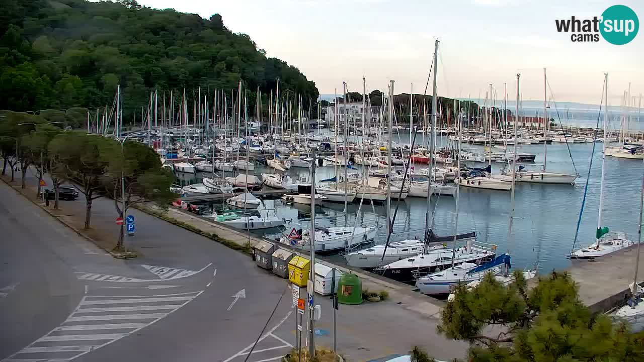 Webcam Sistiana – Marina and Bay Live View