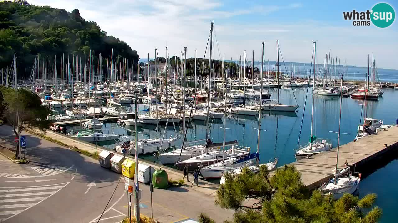 Webcam Sistiana – Marina and Bay Live View
