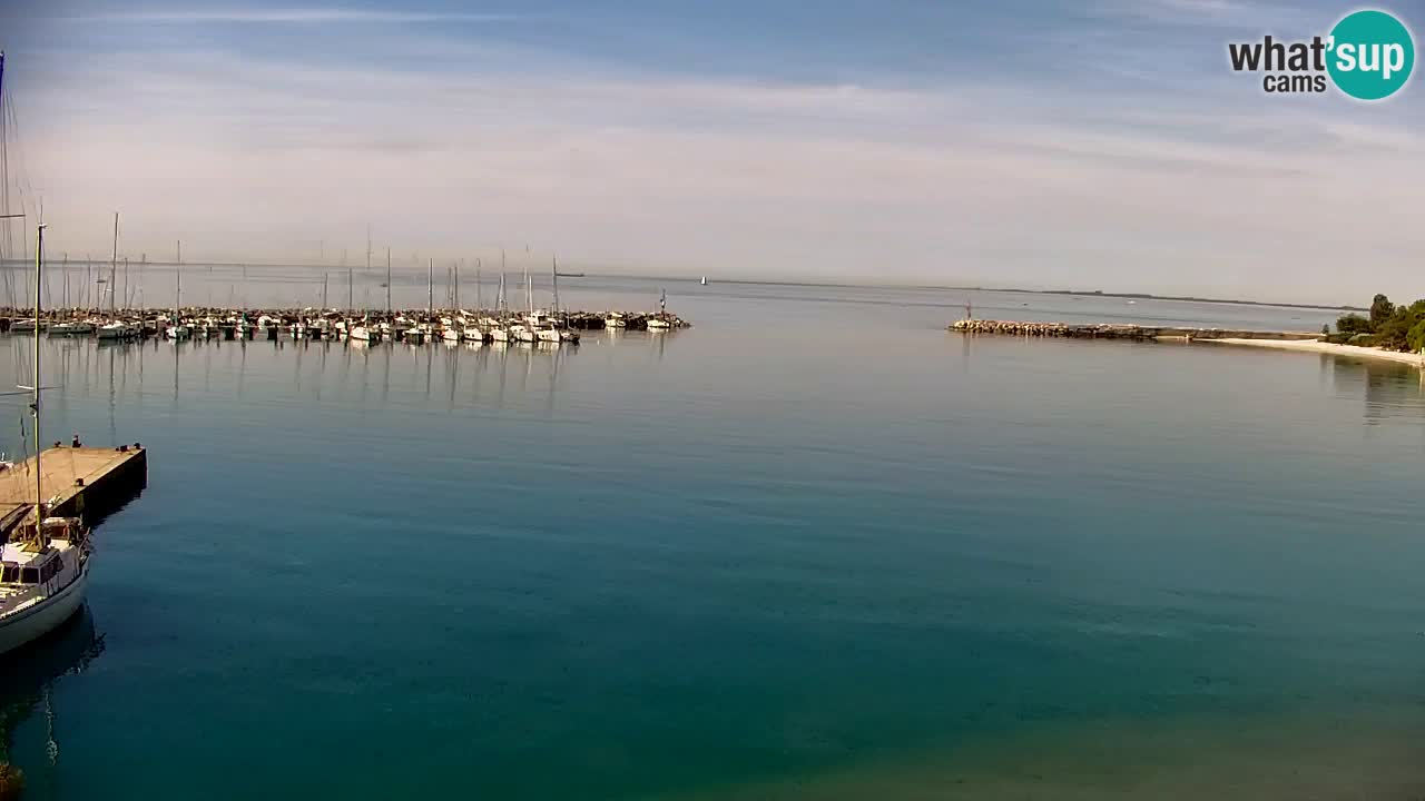 Webcam Sistiana – Marina and Bay Live View