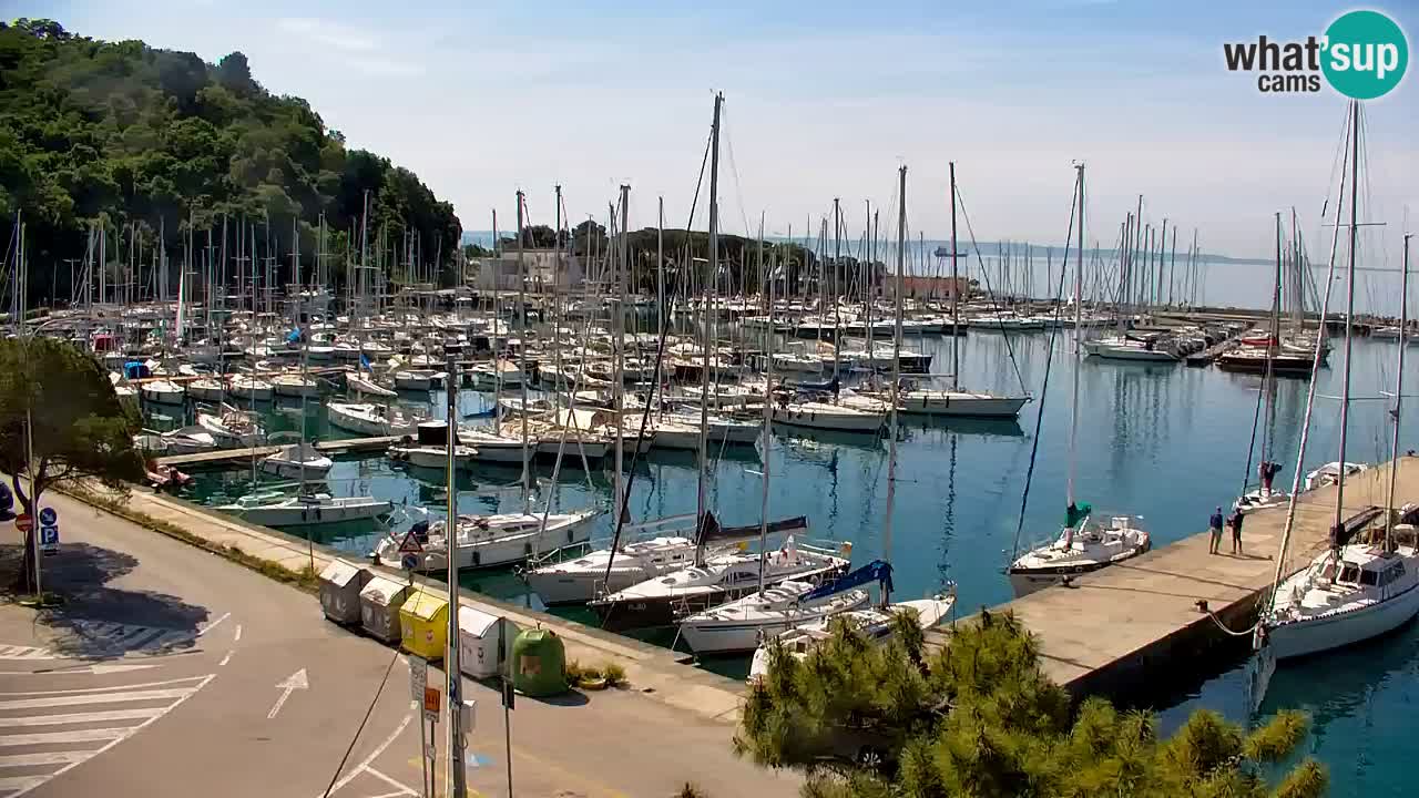 Webcam Sistiana – Marina and Bay Live View